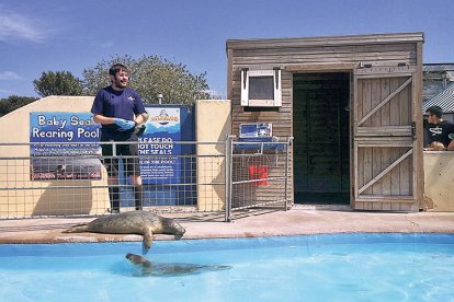 Natureland Seal