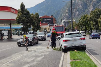 Un vehicle s'ha enfilat a la zona enjardinada de l'avinguda Tarragona aquesta tarda