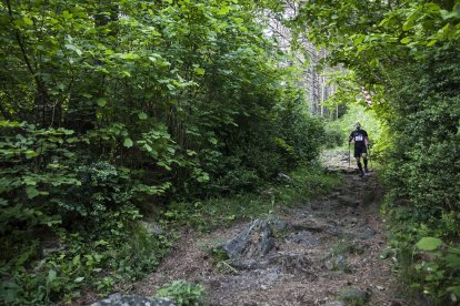 El comú d'Andorra la Vella obrirà un camí forestal