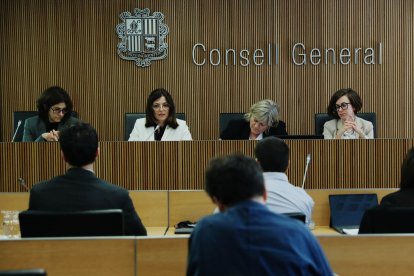 La ministra Imma Tor durant la roda de premsa del Consell General