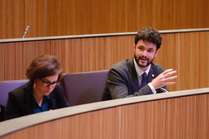 Cerni Escalé durant un moment de la sessió d’ahir al Consell General.