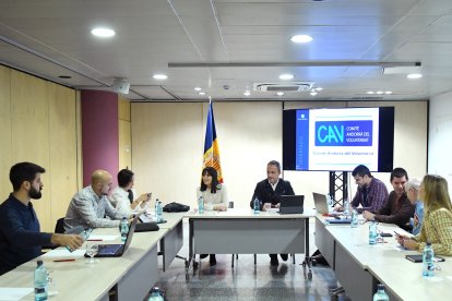 Reunió del Comitè Andorrà del Voluntariat