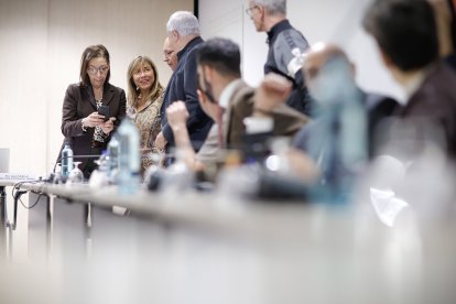 Marsol a la reunió del consell, ahir.