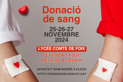 Cartell de la campanya de donació de sang al Lycée Comte de Foix