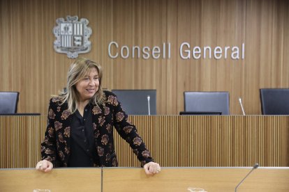 La ministra de Presidència, Economia, Treball i Habitatge, Conxita Marsol, moment abans de la compareixença al Consell General.