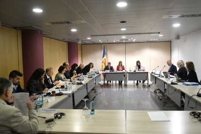 Reunió a Govern amb els membres del Grevio