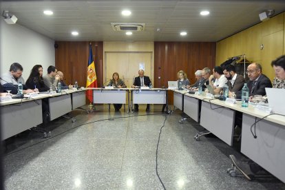 Un moment de la reunió del consell econòmic i social