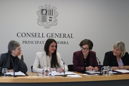 La roda de premsa de presentació de la xarxa que ha tingut lloc aquest dimecres.