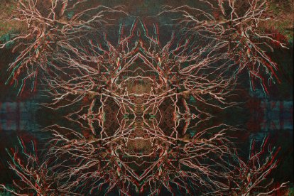 La imatge 'Amb els pèls de punta' de l'exposició 'De formes deformes' a l'Espai Caldes.