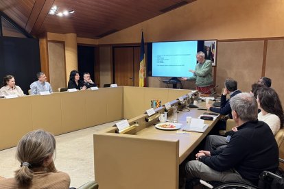 El consell consultiu del POUP de la Massana.