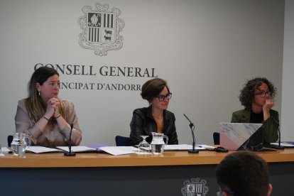 Presentació de la proposta de llei al Consell General.
