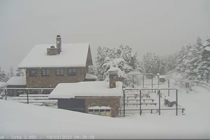 Naturland, ahir al matí.