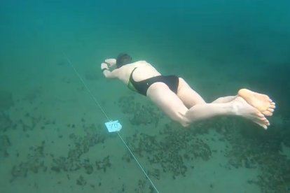 Una apneista russa neda 120 metres sota un riu congelat