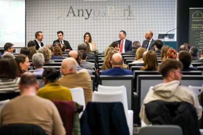 El Govern estudia obrir a capitals privats el parc eòlic del Maià.