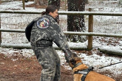 Una dona policia durant el concurs de guia caní