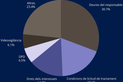 Motius de les consultes rebudes el 2024.