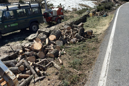 La llenya que regala el comú està al coll d'Ordino