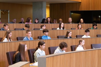 Un moment del 23è Consell General dels Joves que ha tingut lloc aquest dimecres.