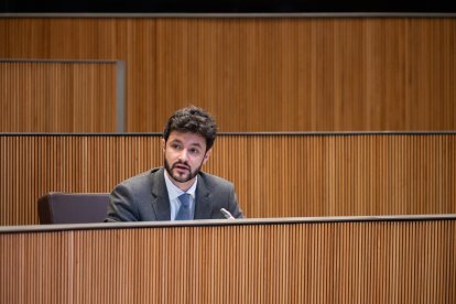 Cerni Escalé en la sessió del Consell General aquesta tarda