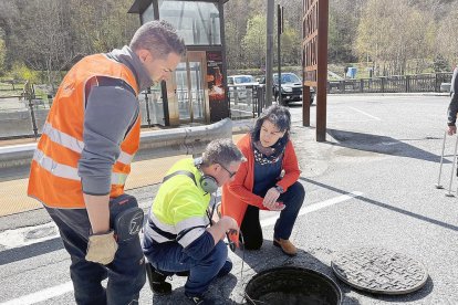 Sansa acompanyant els tècnics en uns treballs a la xarxa.