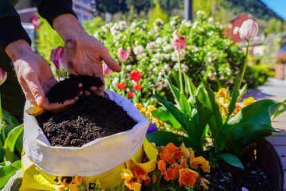 El comú tornarà a repartir compost.