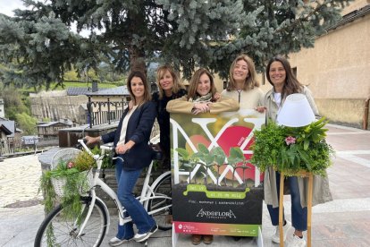 Presentació d’Andoflora.