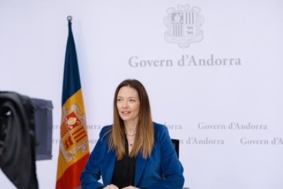 Mas durant la intervenció a la reunió.