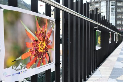 Fotografies de les lones divulgatives de l'exposició