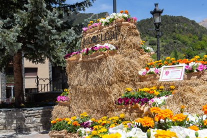 Decoracions florals amb motiu de la 31a edició de l'Andoflora