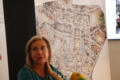 Imatge dels terrenys de la Roureda de la Margineda