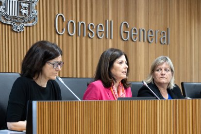 Tor a la presentació de l’activitat del ministeri d’Exteriors.