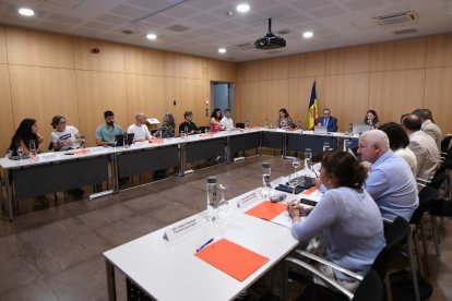 Reunió de la Comissió Nacional de la Infància i Adolescència
