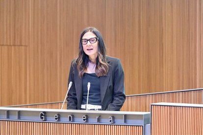 Ester Molné ahir al consell general.