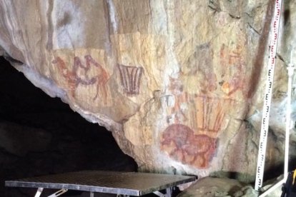 El camell descobert per Eudald Guillemet a la cova dels Urals.