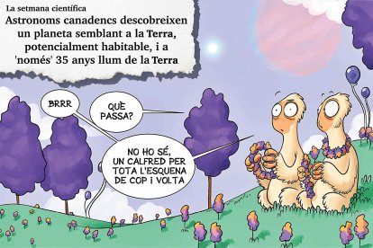 Planellades