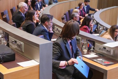 Carles Naudi i Marc Magallon en una sessió del Consell General
