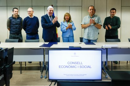 Consell econòmic i social