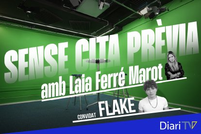 Conversa amb l'artista, Flake