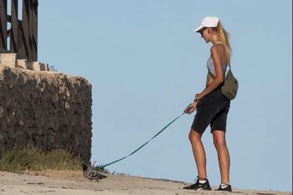 Una dona passeja un colom a TOrrevieja