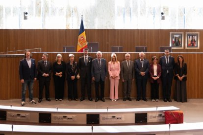 El grup d’amistat Andorra-França al Consell.