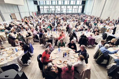 Gent gran a la Festa Magna.
