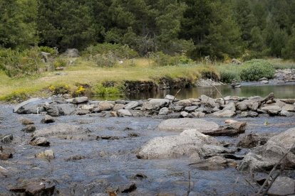 El riu de Pal a la Massana.