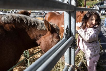 Inauguració de la Pitavola de la Massana