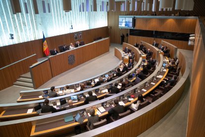 La sessió del Consell General.