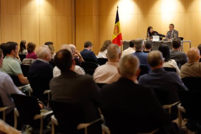 La ministra d'Esports, Mònica Bonell, juntament amb el secretari d'Estat, Alain Cabanes, durant la trobada amb les federacions.