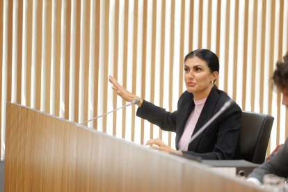Carine Montaner al Consell General