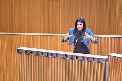 Montaner al Consell General.