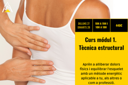 Tècnica estructural