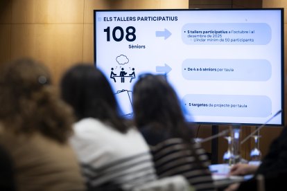 Un moment del consell consultiu.