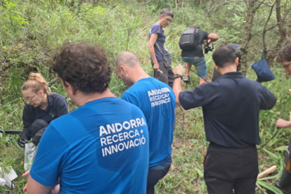 Tècnics instal·lant els sensors.